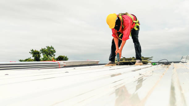 Best Solar Panel Roofing Installation  in Bountiful, UT